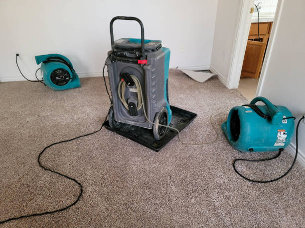Best Local water damage restoration  in Renovo, PA