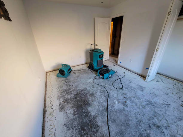 Best Flooded house restoration  in Renovo, PA