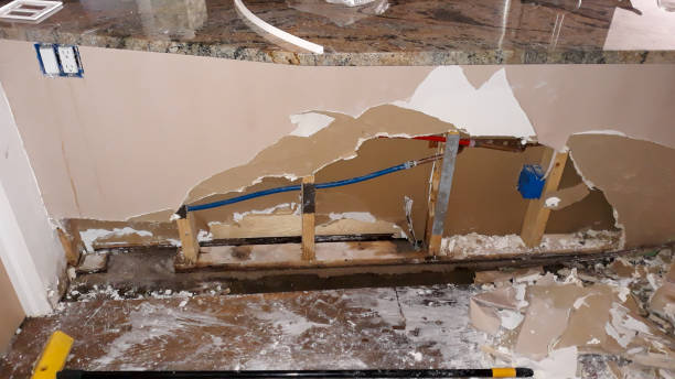 Best Basement water damage restoration  in Renovo, PA