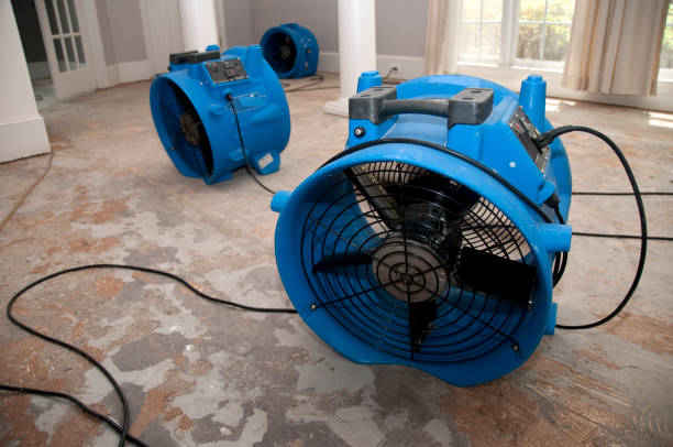 Best Water damage restoration services  in Renovo, PA