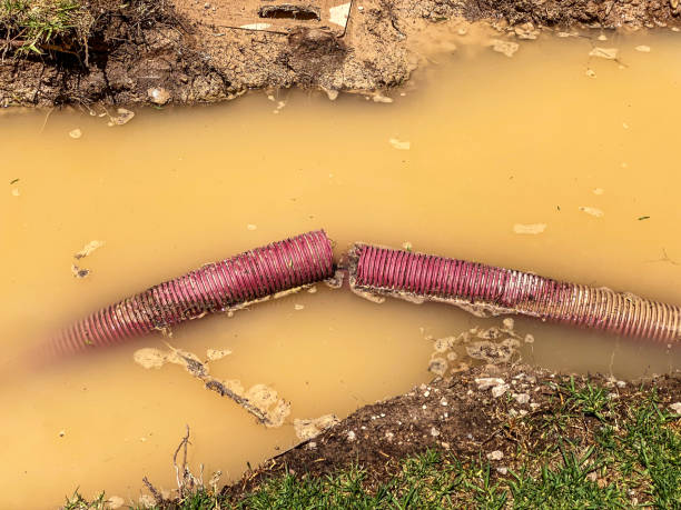 Best Mold removal after water damage  in Renovo, PA