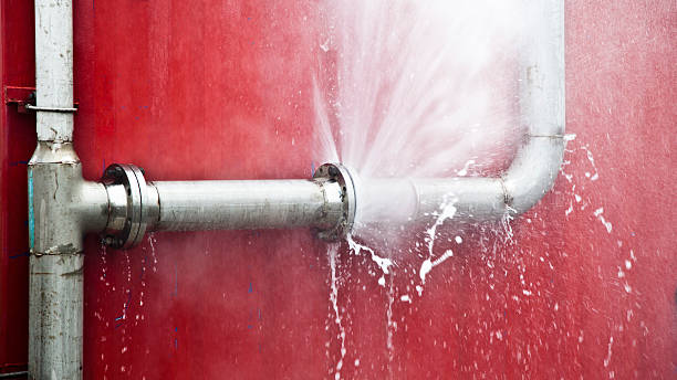 Best Flooded house restoration  in Renovo, PA