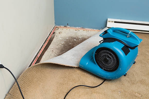 Best Flood restoration services  in Renovo, PA